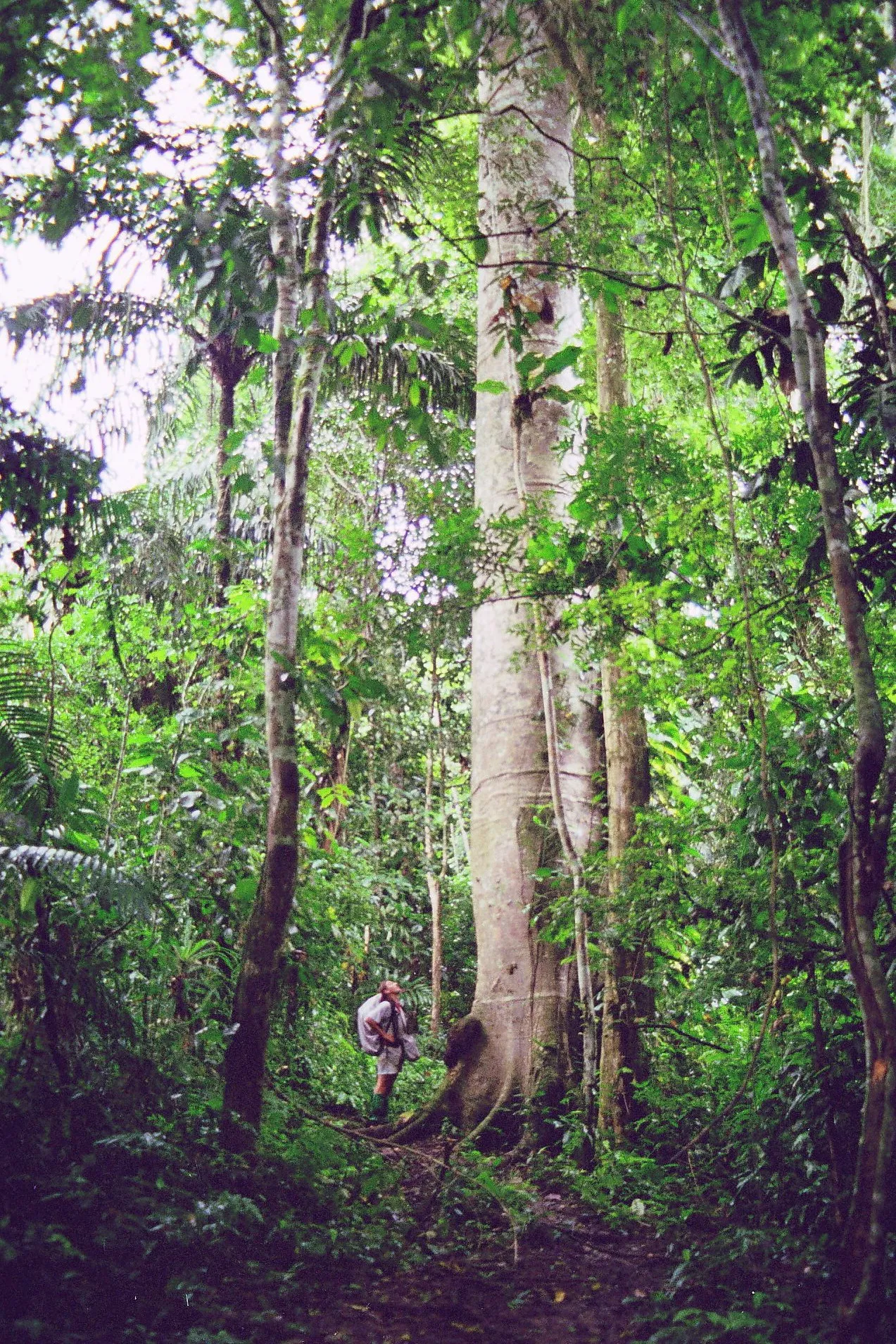 Darienská proluka (Darién Gap) — foto 2