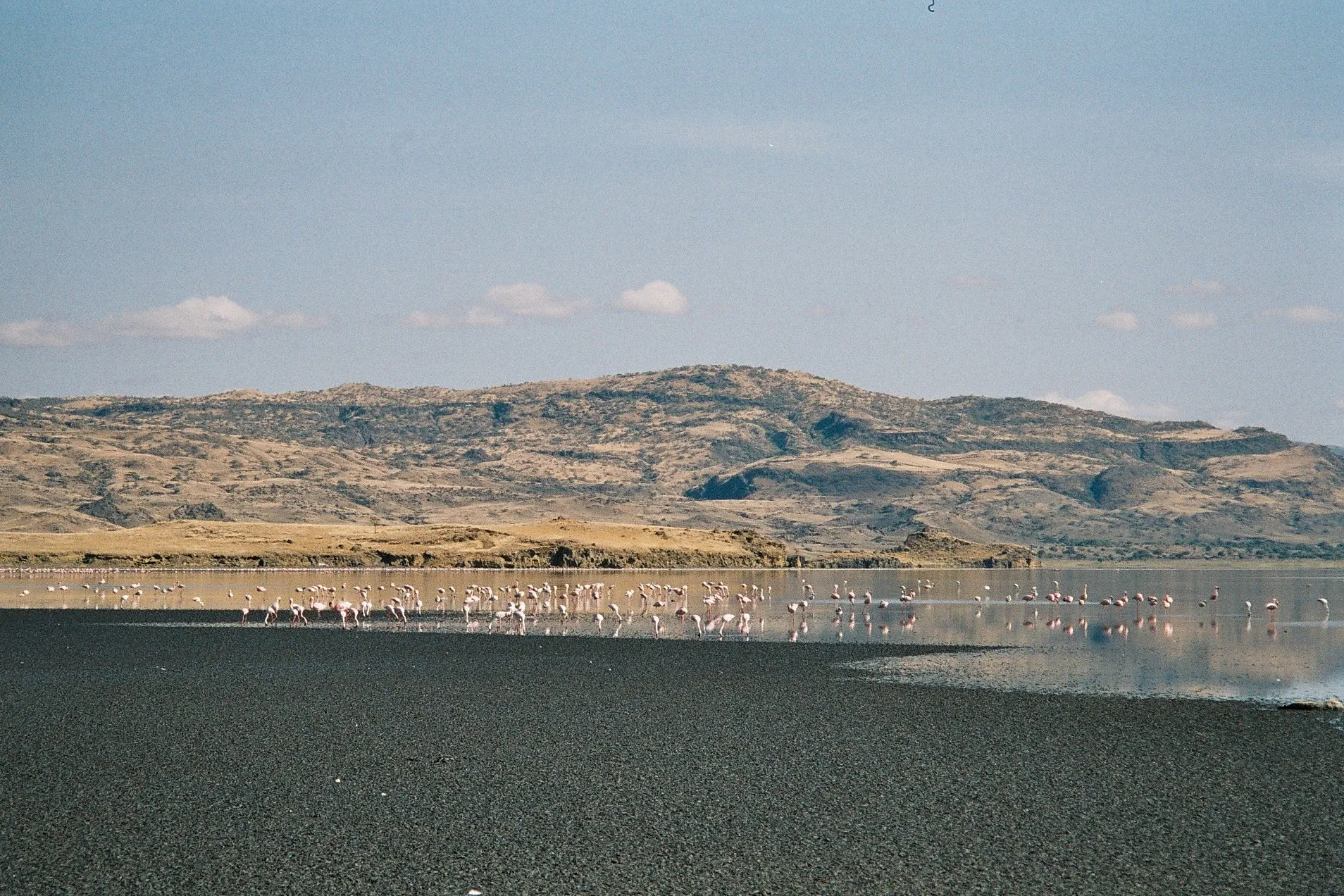 Jezero Natron — foto 3