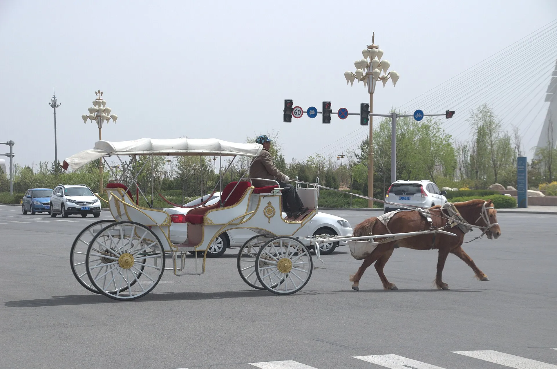 Ordos Kangbashi — foto 1