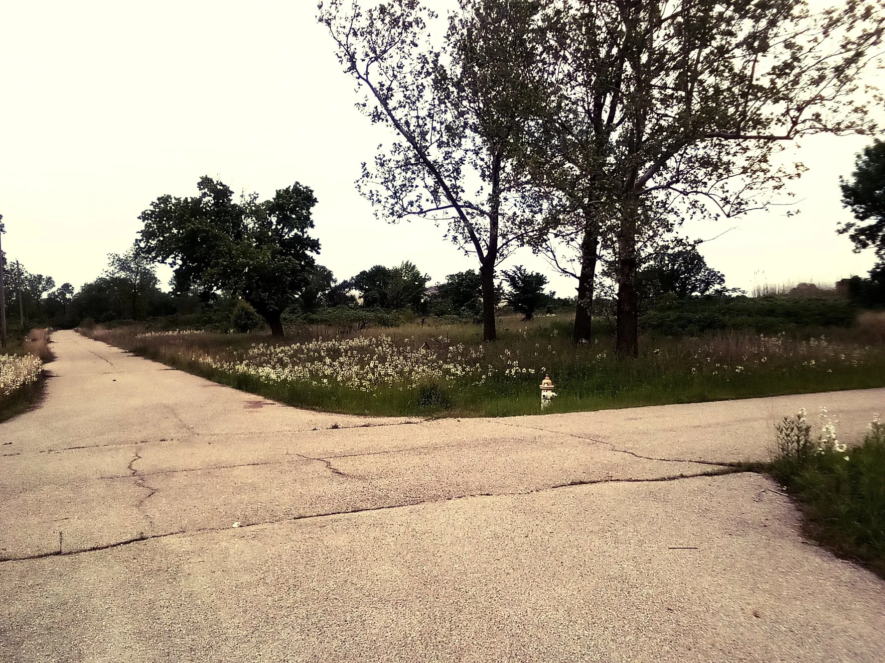 Picher — foto 1