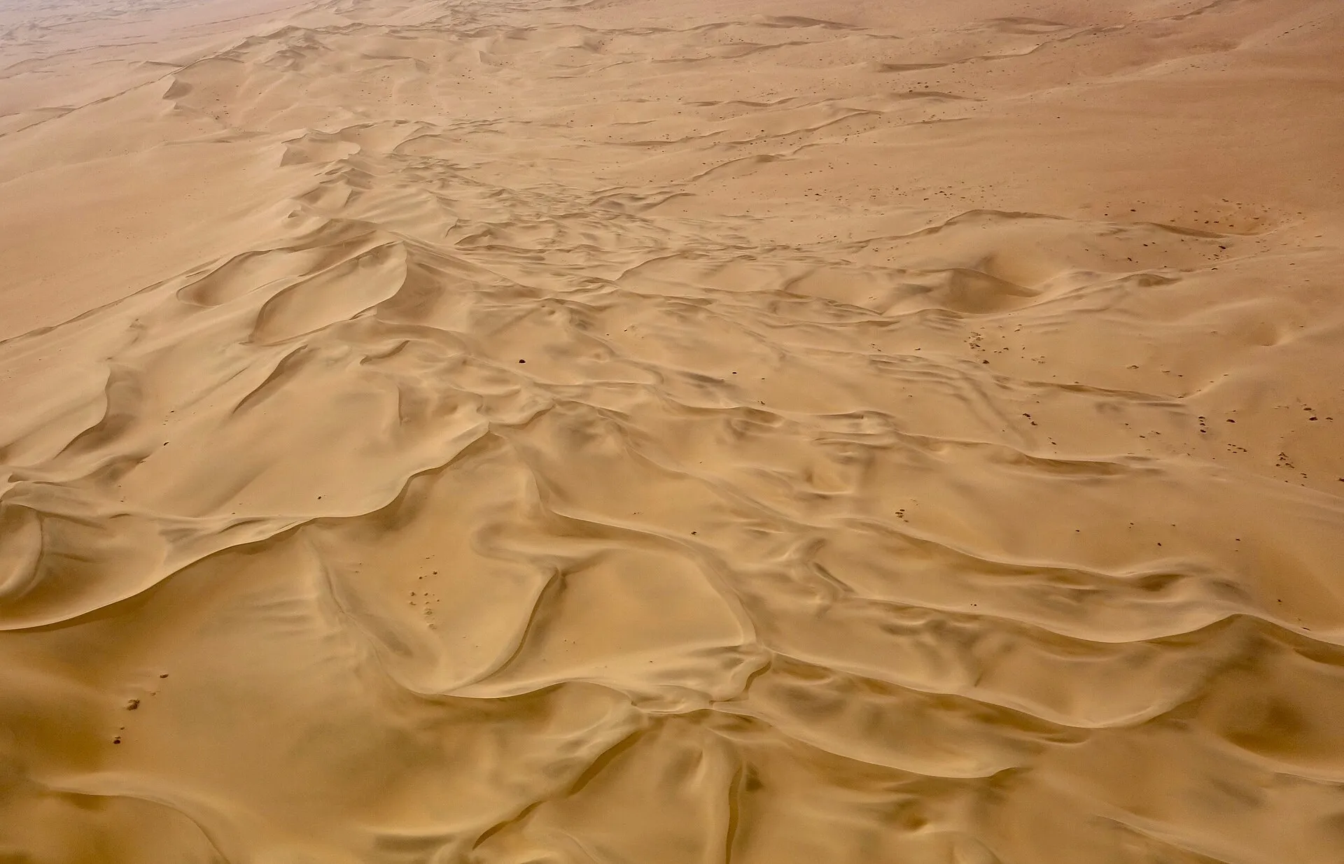 Skeleton Coast (Pobřeží koster) — foto 1